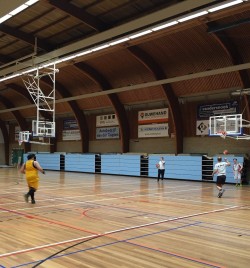 Tribune