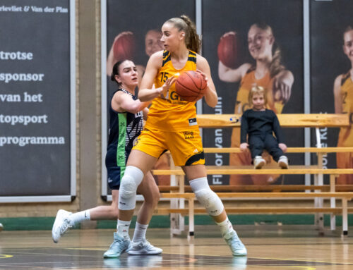 Voorbeschouwing: Topduel uit de WBL  tussen Jolly Jumpers – GBI van Dijk Grasshoppers.